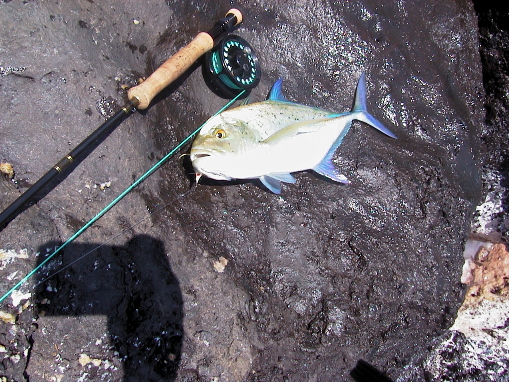Fly Fishing Hawaii Big Island